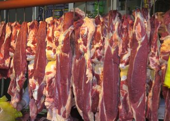 Ет өнімдерінің қауіпсіздігі жіті бақылауда