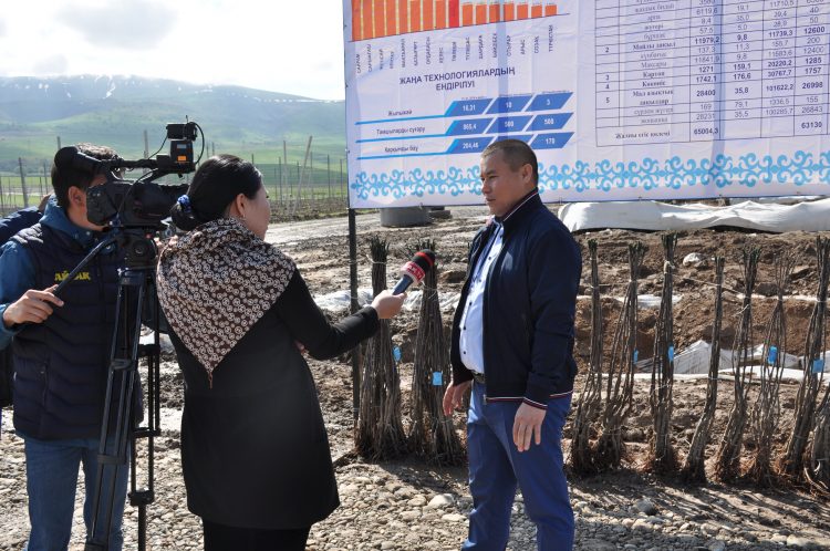 Шөкеев «Қазығұрт бақтары» өндірістік кооперативінің жұмысын көрді