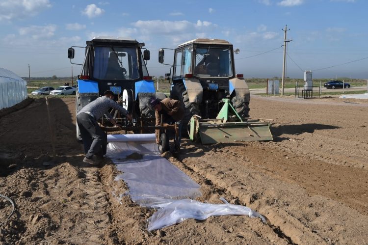 Келес ауданының ауылшаруашылығында озық технологиялар енгізілуде