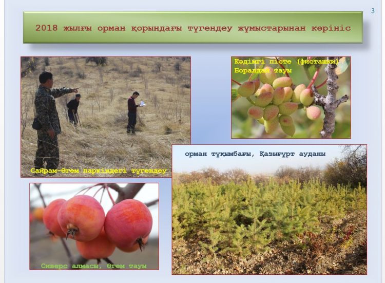 ТҮРКІСТАННЫҢ ТАУЛАРЫНДА 7 ҚАР БАРЫСЫ ЖҮР