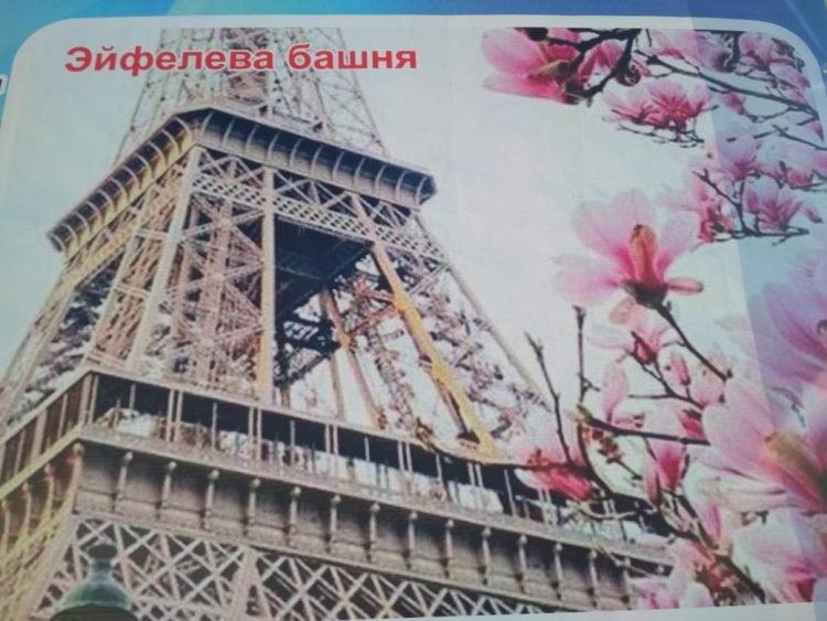 Адам ата ағашы жайында не білеміз?