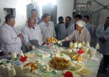 Шөкеевтің алғашқы іс-сапары Ордабасы ауданынан басталды