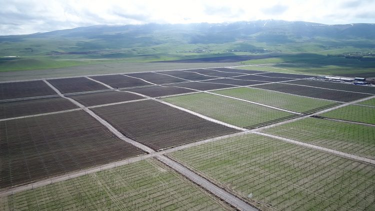 Шөкеев «Қазығұрт бақтары» өндірістік кооперативінің жұмысын көрді