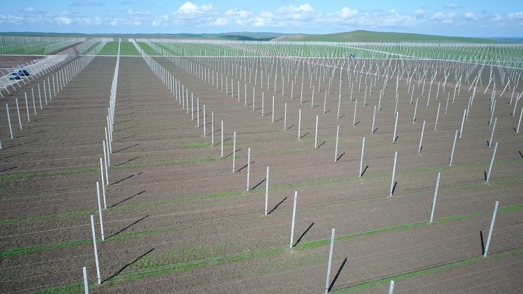 Шөкеев «Қазығұрт бақтары» өндірістік кооперативінің жұмысын көрді