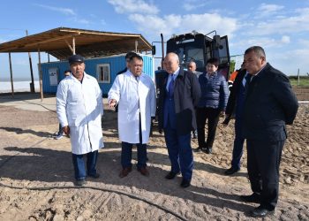 Келес ауданының ауылшаруашылығында озық технологиялар енгізілуде