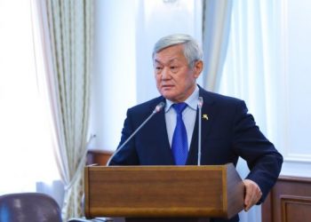 Сапарбаев рассказал, какую помощь получат многодетные