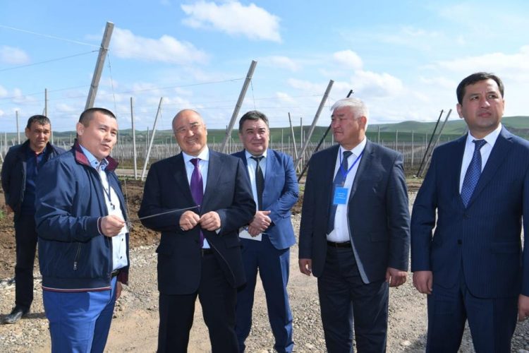 Шөкеев «Қазығұрт бақтары» өндірістік кооперативінің жұмысын көрді