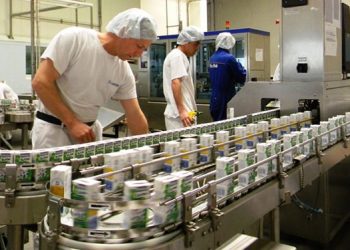 Кентауда құрғақ сүт өңдейтін өндіріс цехы ашылады