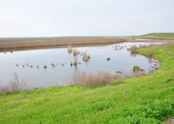 КЕЛЕС АУДАНЫНДА ЖАҢАДАН ДЕМАЛЫС ОРНЫ АШЫЛАДЫ