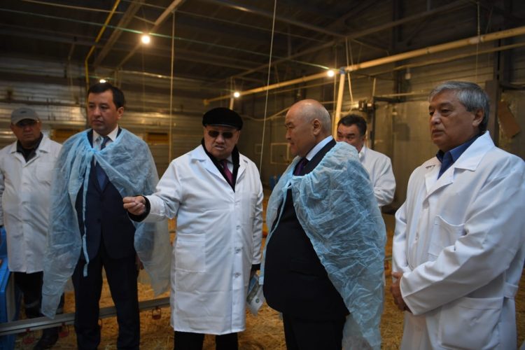 Түркістан облысының әкімі Төлебидегі жұмыстармен танысты