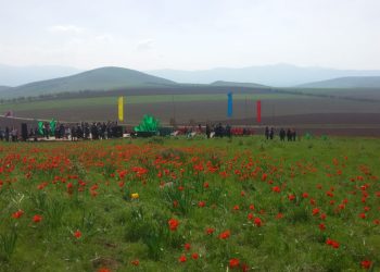 ТҮЛКІБАСТА ҚЫЗҒАЛДАҚ ФЕСТИВАЛІ БАСТАЛДЫ