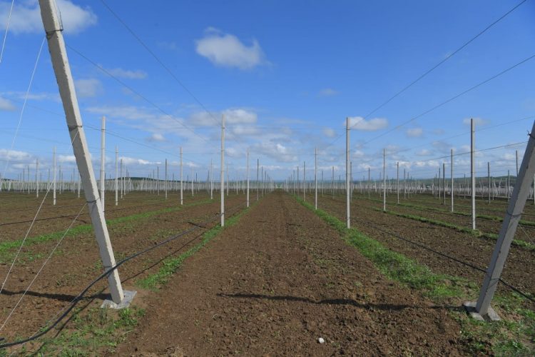 Түркістан облысының әкімі Төлебидегі жұмыстармен танысты