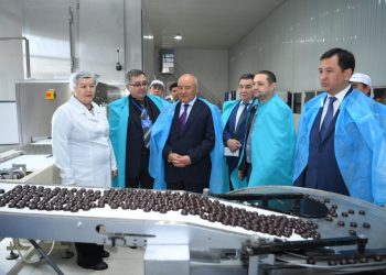 Түркістан облысының әкімі Төлебидегі жұмыстармен танысты