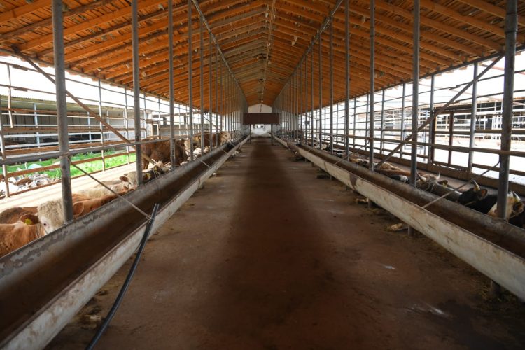 Шөкеев жұмыс сапарымен Сайрам ауданында болды