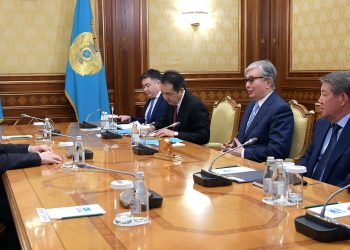 Қазақстан Президенті «Borealis» компаниясы басқармасының төрағасын қабылдады