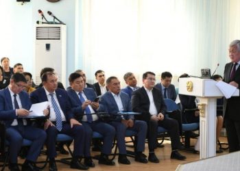 Көп балалы аналармен және аз қамтылған отбасылармен кездесу: үкіметтік жұмыс тобы Түркістан облысына барды