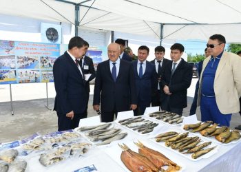 Ө. ШӨКЕЕВ: ИГЕРІЛМЕГЕН ЖЕРЛЕР ҚАТАҢ БАҚЫЛАУДА БОЛАДЫ