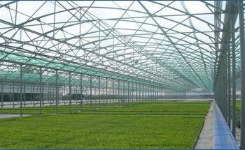 ТҮРКІСТАН: КЕЛЕСТЕ ЖАЛПЫ ҚҰНЫ 1,1 МЛРД ДОЛЛАРҒА ЖЫЛЫЖАЙ КЕШЕНІ САЛЫНАДЫ