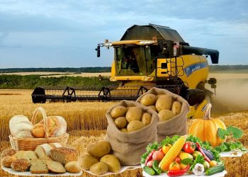 «Қазығұрт» индустриалдық аймағында 7 жоба жүзеге асады