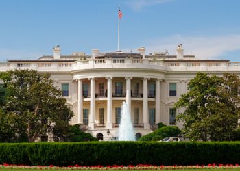 В Узбекистане государство простило предпринимателям долги за бизнес