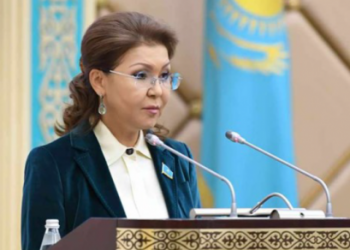 «Ловим блох» — Назарбаева о работе правительства над законопроектами