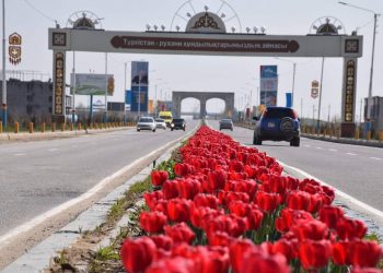 Ө. ШӨКЕЕВ: ТҮРКІСТАНДЫ ЗАМАН ТАЛАБЫНА САЙ ДАМЫТАМЫЗ