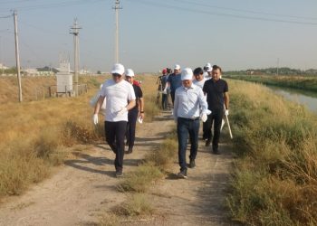 «Taza Qazaqstan» экологиялық акциясы Түркістан қаласында да айрықша белсенділікпен ұйымдастырылды