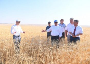 Мы должны поддерживать фермеров – Умирзак Шукеев