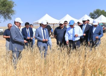 Ө.Шөкеев астық ору науқанына қатысты