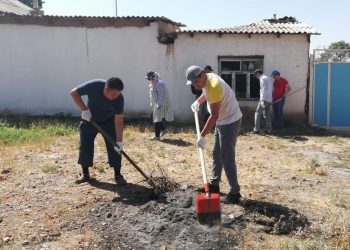 Арыс: Журналистер мен қоғам белсенділері қаланы тазалады