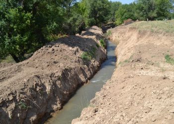 Түлкібас ауданында суармалы жерлердің көлемі ұлғайып келеді