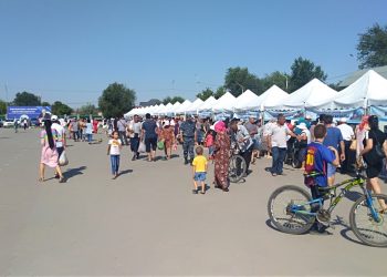 Арыста жергілікті тауар өндірушілердің жәрмеңкесі өтіп жатыр