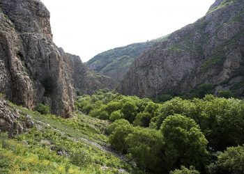 Түлкібасқа келетін туристер саны артуда