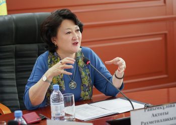 Мәдениет және спорт министрі «Көкжайлауға» қатысты түсініктеме берді
