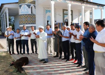 Бəйдібектік кəсіпкер Арыстағы 17 секторға құрбандық шалды