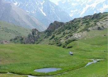 Түлкібасқа келетін туристердің саны артуда