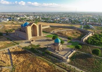 Кесенелердің тыныс-тіршілігі тікелей көрсетілімде