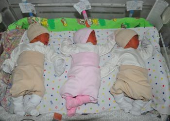 Түркістан облысында үшемдер дүниеге келді