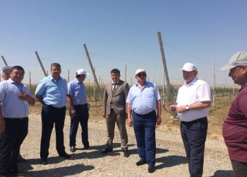 Сенаторлар Төлеби ауданындағы ілкімді істермен танысты