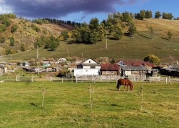 Елбасы: Қалаға көшті тоқтату мүмкін емес – бірақ ауылға да жағдай жасау керек