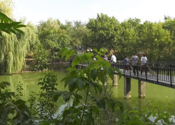 700 мемлекеттік қызметші сенбілікке шықты