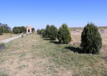 ГАУҺАР АНА КЕСЕНЕСІ МАҢЫНА БОЗ АРША ЕГІЛДІ