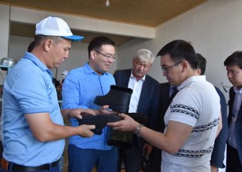 Президент Жолдауы — бизнесті дамытуда күшті ынта