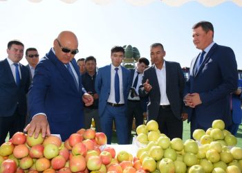 Шөкеев Шардараның әлеуметтік нысандарымен танысты