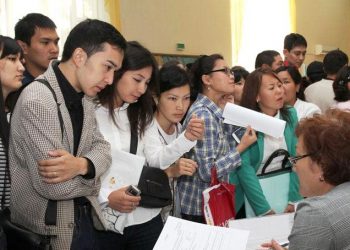 Шымкентте жастар практикасы тиімді ұйымдастырылған