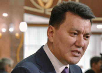 Карин назвал манипуляцией информацию о 55 китайских заводах