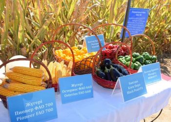 Түркістан облысында ауыл шаруашылығы өнімінің жалпы көлемі 450 млрд. теңгені құрады