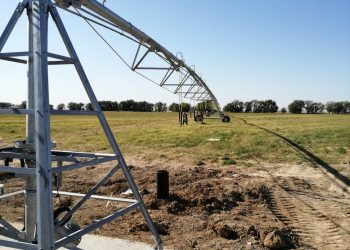 Түркістан облысында егісті алқапты жаңбырлатып суару әдісі қолданылатын болады