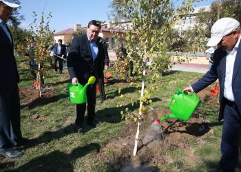 Асқар Мамин мен Өмірзақ Шөкеев Түркістандағы аллеяда ағаш отырғызып, жаңа республикалық шараны бастап берді