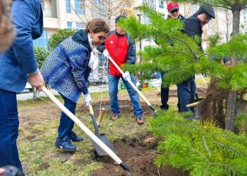Дариға Назарбаева бастаған бір топ сенатор сенбілікке қатысты